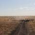 A quarter of NorthernTerritorypastoral lease land held by foreign...