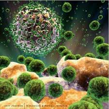 Virus Aids