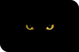 「囧」的圖片搜尋結果