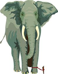 Image result for the elephant rope short story