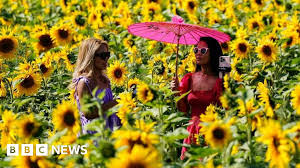 BBC - News update