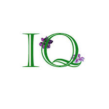 High IQ Scores and Mismatched Academics - Correcting the Anomaly