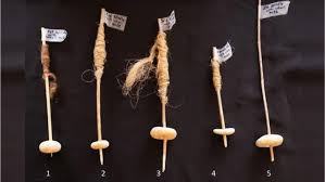 அறிவியல் பேசுவோம் (Ariviyal Pesuvom): 19.11.2024 இந்த வார முக்கிய அறிவியல் செய்திகளின் சுருக்கம் (summary of this week's top science news) - https://bookday.in/