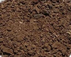 dried cow dung manure, AI generated