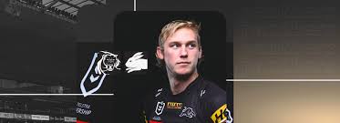 Penrith Panthers - News update
