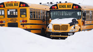 Widespread Bus Cancellations as Snowstorm Hits Waterloo Region
