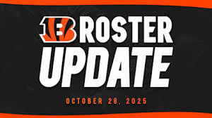 Bengals Roster Update: Heyward and Lee to IR, Pennel Released