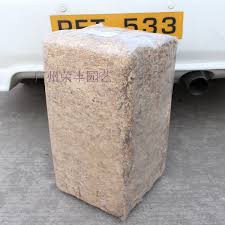 Image result for chilean sphagnum moss