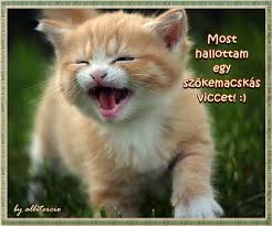 images?q=tbn:ANd9GcRdo2OMrGeg_pYYvukx1Gwv1sn2RG2bRmmjbYMxwxG33kFVyWKmOA