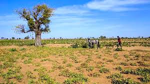 Image result for desertification