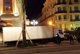 Resultado de imagem para terrorismo mimetismo