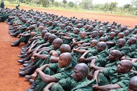 Image result for nembo ya jeshi la kujenga taifa