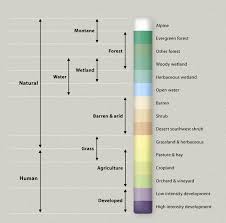 Résultat de recherche d'images pour "muted colors"