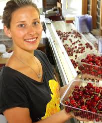 Jane Avery with cherries picked at Cherryland this morning. Marlborough growers believe it is going. SCOTT HAMMOND. RED JOY: Jane Avery with cherries picked ... - 4405232