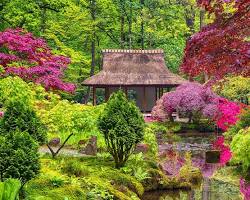Plants in Japanese garden