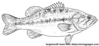 fish coloring pages ile ilgili görsel sonucu