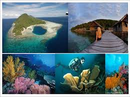 Hasil gambar untuk objek wisata raja ampat di papua
