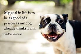 Pet Quotes. QuotesGram via Relatably.com