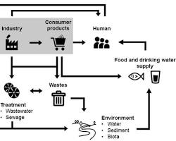 PFAS exposure pathwaysの画像