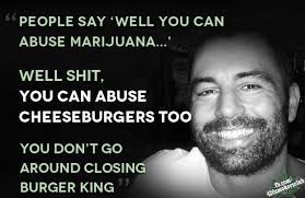 Joe Rogan | Ganja Quotes | Pinterest | Joe Rogan, Cheeseburgers ... via Relatably.com