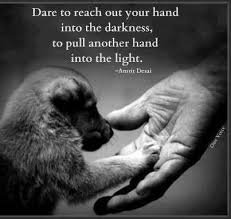 SAY &#39;NO&#39; TO ANIMAL CRUELTY on Pinterest | Animal, Speak Up Quotes ... via Relatably.com