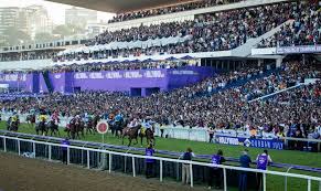 Hollywoodbets Sports Blog - News update