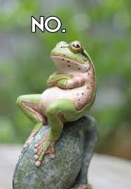 Myndaniðurstaða fyrir no