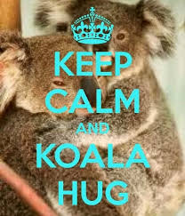 Koala hugs | Quotes | Pinterest | Koalas via Relatably.com