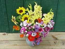 Image result for fresh cut flowers