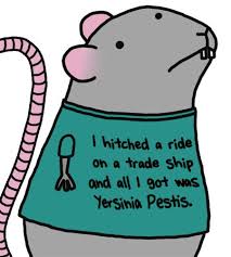 Image result for Black Death Funny