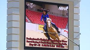 Police arrest teen for injuring 3 horses with 'sharp object' at equestrian event