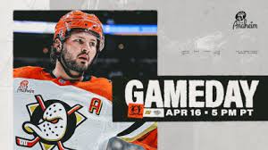 Ducks Face Predators with Playoff Positioning on the Line