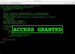 Ways to hack a website coded in different Programming Languages ... via Relatably.com