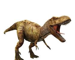 ティラノサウルスの画像