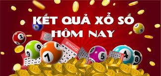 Pháp Luật và Xã hội - News update