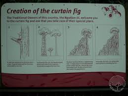 Résultat de recherche d'images pour "burying fig trees"