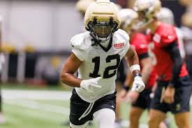 Report: Saints sign former LSU linebacker, New Orleans native