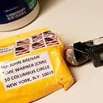 What know about pipe bombs