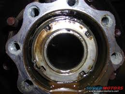 Image result for DSCN0825.JPG