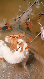 What we thought we'd get vs. what we actually got ...