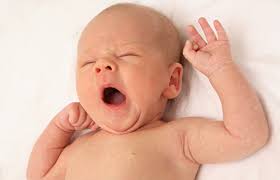 images?q=tbn:ANd9GcRfOG122X4SLb_OLVQ9UwHeLkYyne-MhNTDX-sjeLkUteU1g_B_