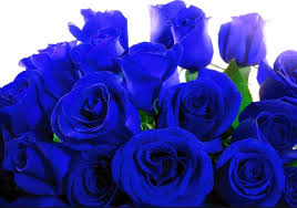 Image result for karangan bunga mawar biru