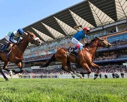 Royal Ascot, Berkshire, İngiltere resmi