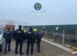 Vrancea: Trei persoane, plasate sub control judiciar în cazul adăpostului de câini de la Suraia