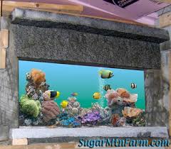 Image result for site:sugarmtnfarm.com trough OR barrel OR feeder OR tank OR waterer OR whey
