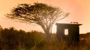 ¡Aguas con el calorón! Ya hay fecha para la canícula, la peor temperatura del año en México