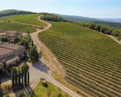 Imagem de Montalcino vineyards