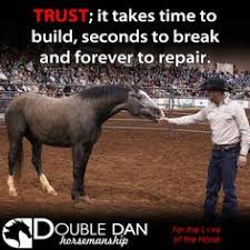 Image result for horses trained by fear quotes