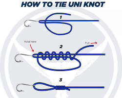 Image of stepbystep Uni Knot tying process