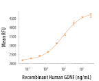 Recombinant human gdnf